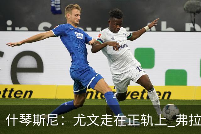 什琴斯尼：尤文走在正轨上 弗拉霍维奇非常出色